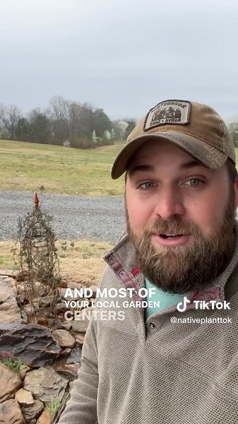 Why Plant Native Species: Conservation Tips