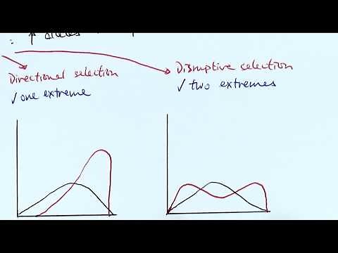 A2 Biology - Factors affecting evolution (OCR A Chapter 20.5)