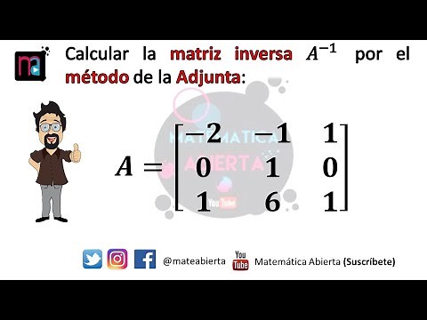 Matriz inversa / Método de la ADJUNTA - cofactores / Ejemplo 1 / (Nivel: Medio)