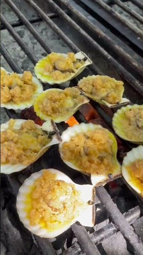 scallops shell catch and cook #shorts #shell