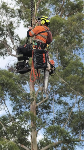 #treework #treeremoval #arboriculture #arborist #climbing #hardwork #treecare #Gopro #treeservice #motivation