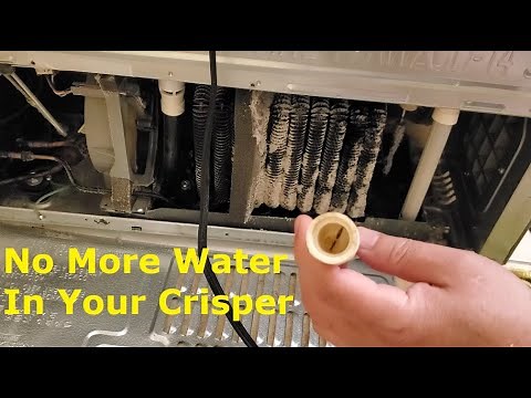 How To Fix Samsung Fridge That Leaks Water In Your Crisper. Simple Fix That You Must Try First.