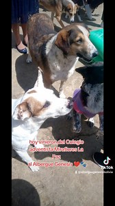 84 reactions · 5 comments | Buen día de Dios ❤️ Hoy vinieron del Colegio adventista Miraflores La Paz, trajeron donaciones y mucha bendición para nuestra comunidad del Albergue Genesis  | Albergue Genesis | Facebook