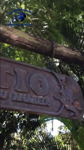 The place where Sítio do Picapau Amarelo was born 😱📚