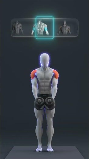 Build Muscle and Master Control: Full Upper Body Dumbbell Routine You Can Do Anywhere!