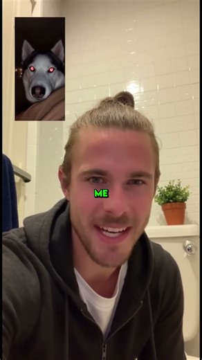 This Dog Looks Like Devil But The Reason is shocking