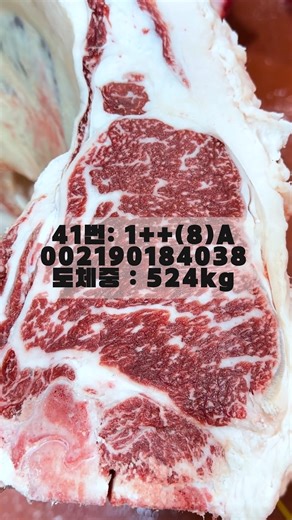 민속친한우 | 002190184038 육질등급 1++8A 도체중량 524kg 출생년월일 2023-07-16(31개월령) 전국최초!! 온라인 부분육 경매 민속친한우가 시작합니다. 중매수수료 0원, 배송비 0원 내가 중매인이 되어 자유롭게 참여하는 블라인드 경매를... | Instagram