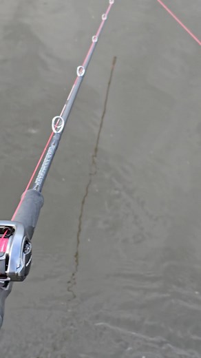 1.7K views · 11 reactions | #alien_predator_lures #fishing #lure #lurefishing #predatorfishing #perch #pike #perchfishing #pikefishing #custom #lures #riverfishing #fishinglure #handmade #paint #wood #water #river #handcrafted #luremaking #lurebuilding #handmadelures | Bruce Dobbo | Facebook