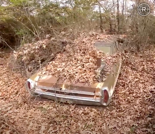 Rescuing a 1964 Pontiac Catalina Abandoned in the Woods for 40 Years | Restored