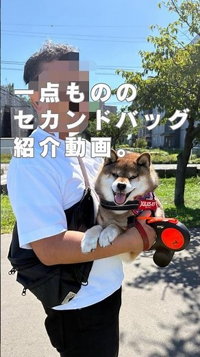 The Only Shiba Inu Bag in the World! How Much Does It Cost? Where Can I Get One? Reviews and Impr...