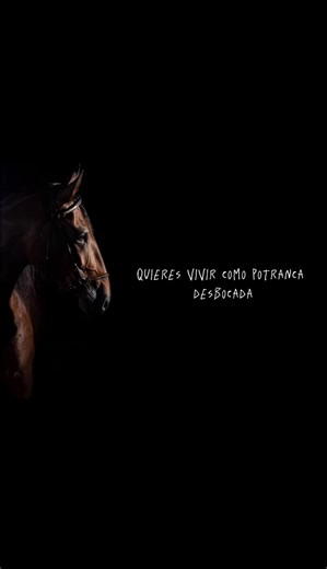 Quise tratarte como gente y no te gusta ❤️‍🩹 #todos #viraltiktok #parati #populartiktok #fyp