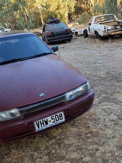 The Truth About Forza's Original Song and TikTok's Claim