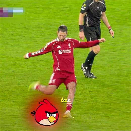 ANGRY BIRDS X Szoboslzai #footballedits #liverpool #shorts