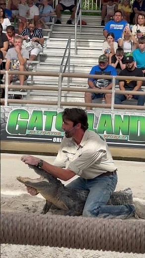 Daring Alligator Handler Opens Gator’s Mouth to Show Teeth – Close Call Bite! | Gatorland Wild Show