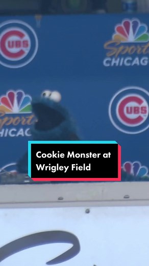 Best 7th inning stretch ever? #wrigleyfield #sesamestreet #cookiemonster #sportstiktok