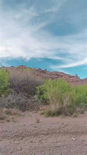 San Lorenzo Canyon, New Mexico 🇺🇸