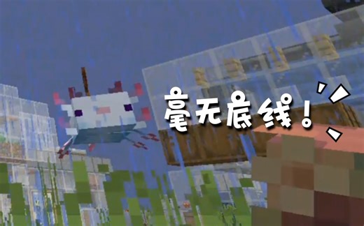 实名举报Chaos SMP管理员momo率众开挂