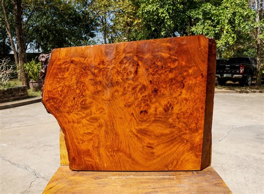 Golden Amboyna Burl Wood Slab: Live Edge Lumber, Epoxy Resin DIY - Etsy UK