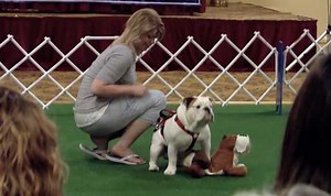 Say What? They Really Got A Dog Humping Competition!