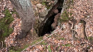 Inside the 200 Foot Vertical Cave Swallowed by the Earth