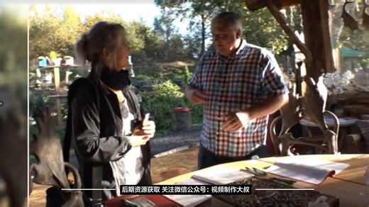 PR/AE视频转场调色滤镜VitaScene汉化版，