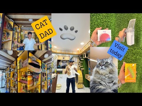 Cat🐈Dad Mumbai – India’s Largest Cat Store | 😻 Stress-Free Environment & Healthy Kittens #persiancat