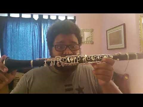 Demonstrating my Wurlitzer Oehler Clarinet with Rose 24 (of the 40)