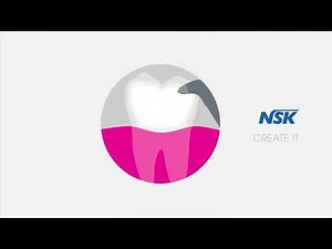 NSK Prophy Mate Neo