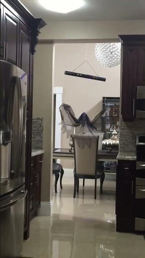 Gemmy Floating Grim Reaper (FAIL) vid back in 2015 #halloween #animatronics #funny #scary