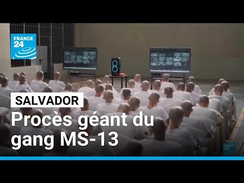 Salvador : procès géant du gang MS-13, 486 membres jugés pour 29 000 meurtres • FRANCE 24