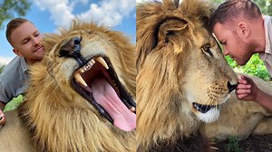 112K views · 859 reactions | You will fall in love with this young park ranger and his animal friends 女女 Check out this lion cub: https://bit.ly/3pfRLAB | In The Know | Facebook