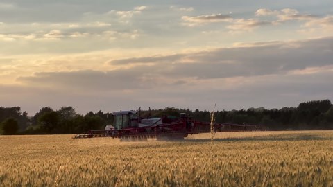 Is the Government Stopping Us from Farming?