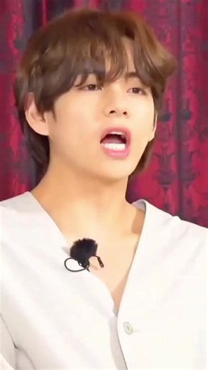 Fried Delicacies for BTS Fans