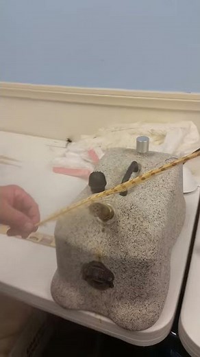 How To Steam Feathers