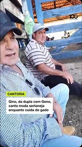 523K views · 8.1K reactions | Enquanto cuida do gado, Gino, da dupla...
