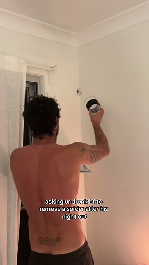 what every man dreams of getting home to at 2am #spider #aus #yehnah