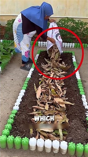 Soil Preparation Technique Using Leaves🌱😱#farming