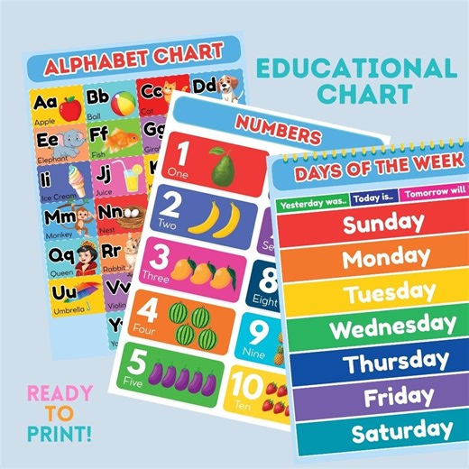 Educational Chart for Kids - Etsy