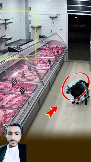 شيطانة دخلت محل الحوم وتحولت الا قطة وهاجمت صاحب العمل #اشتراك #anime #adventure