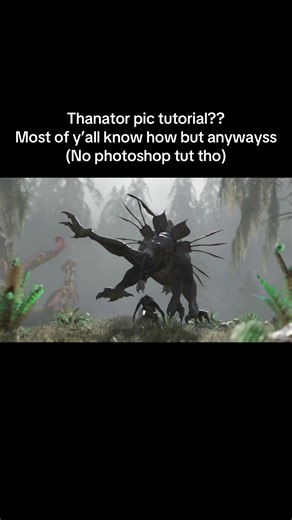 Beginner's Guide to Capturing Stunning Thanator Images