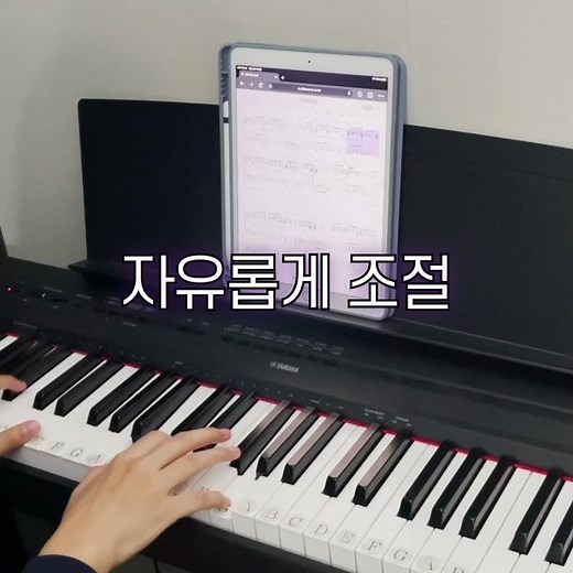 악보나라 전자악보 조옮김 1:1 15초