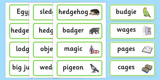 Medial 'j' Word Cards