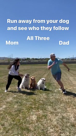 I certainly feel loved! #dogrunchallenge #dogtrainer #dogtraining #obediencetraining