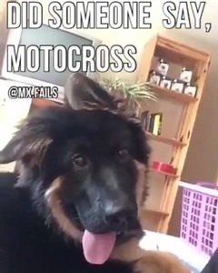 56K views · 1K reactions |  Mx.Fails | Crushed MX | Facebook