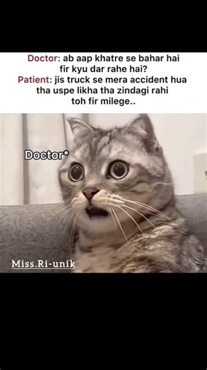 hehe😁#comdeymemes #funnymemes #memes #cat #memehub #amazingmemes