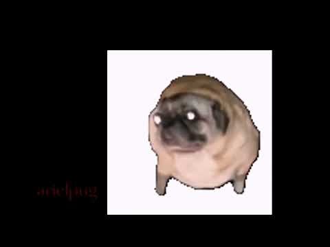 salami salami gulp gulp gulp gulp 1hour