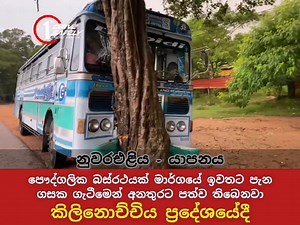 13K views · 523 reactions | ගසක ගැටීමෙන් අනතුරට පත් බස් රථය | Accident prevention 1st | Facebook