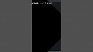 Shorts Print text/variable during execution - Ansible module debug