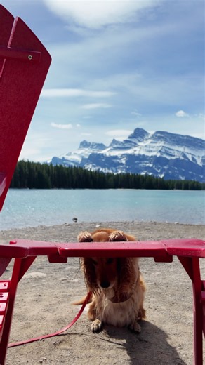Banff National Park Red Chairs: Two Jack Lake Guide