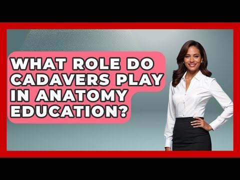 What Role Do Cadavers Play in Anatomy Education? | All About Anatomy Answers News